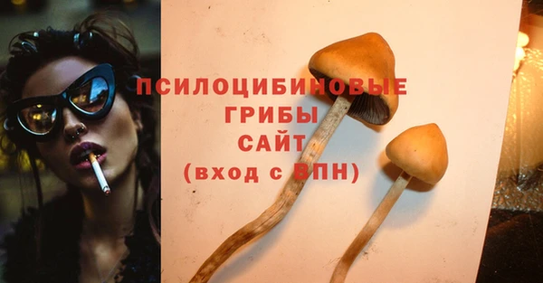 бошки Верхнеуральск