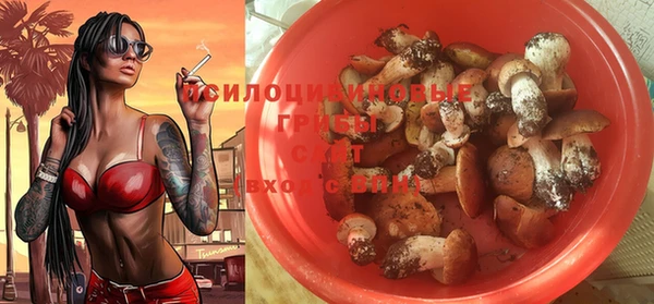 эйфоретик Верея
