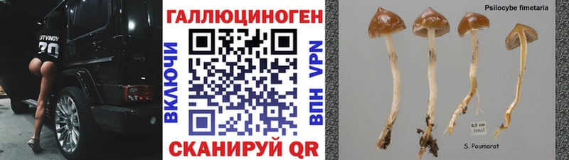 Псилоцибиновые грибы прущие грибы  как найти закладки  Верхоянск 